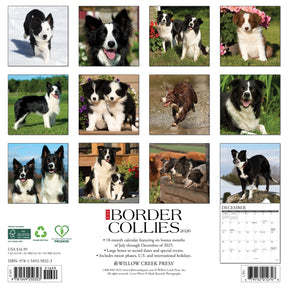 Willow Creek Press - 2026 Border Collies Calendar