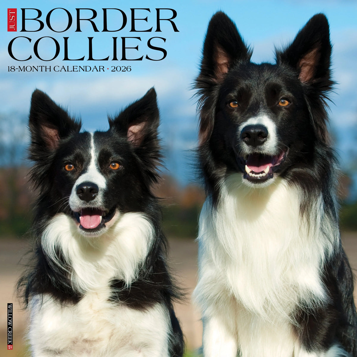 Willow Creek Press - 2026 Border Collies Calendar