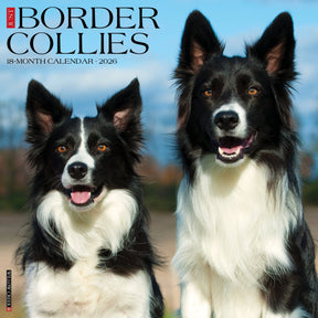 Willow Creek Press - 2026 Border Collies Calendar