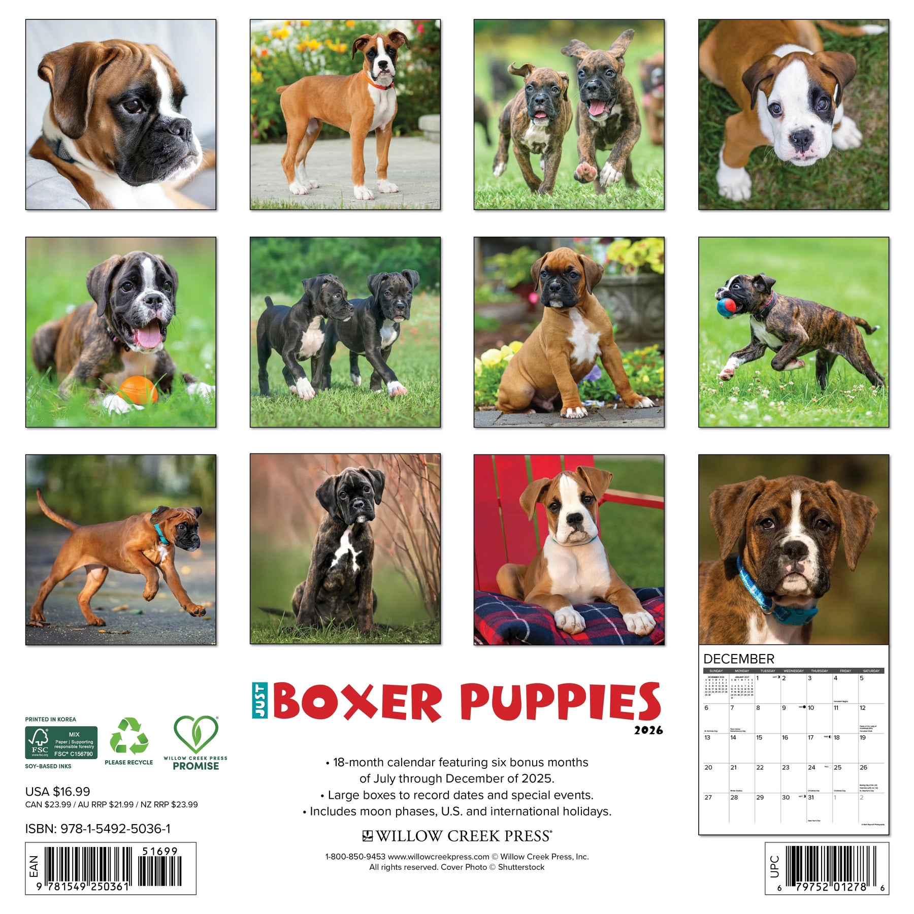 Willow Creek Press - 2026 Boxer Puppies Calendar