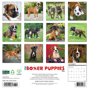 Willow Creek Press - 2026 Boxer Puppies Calendar
