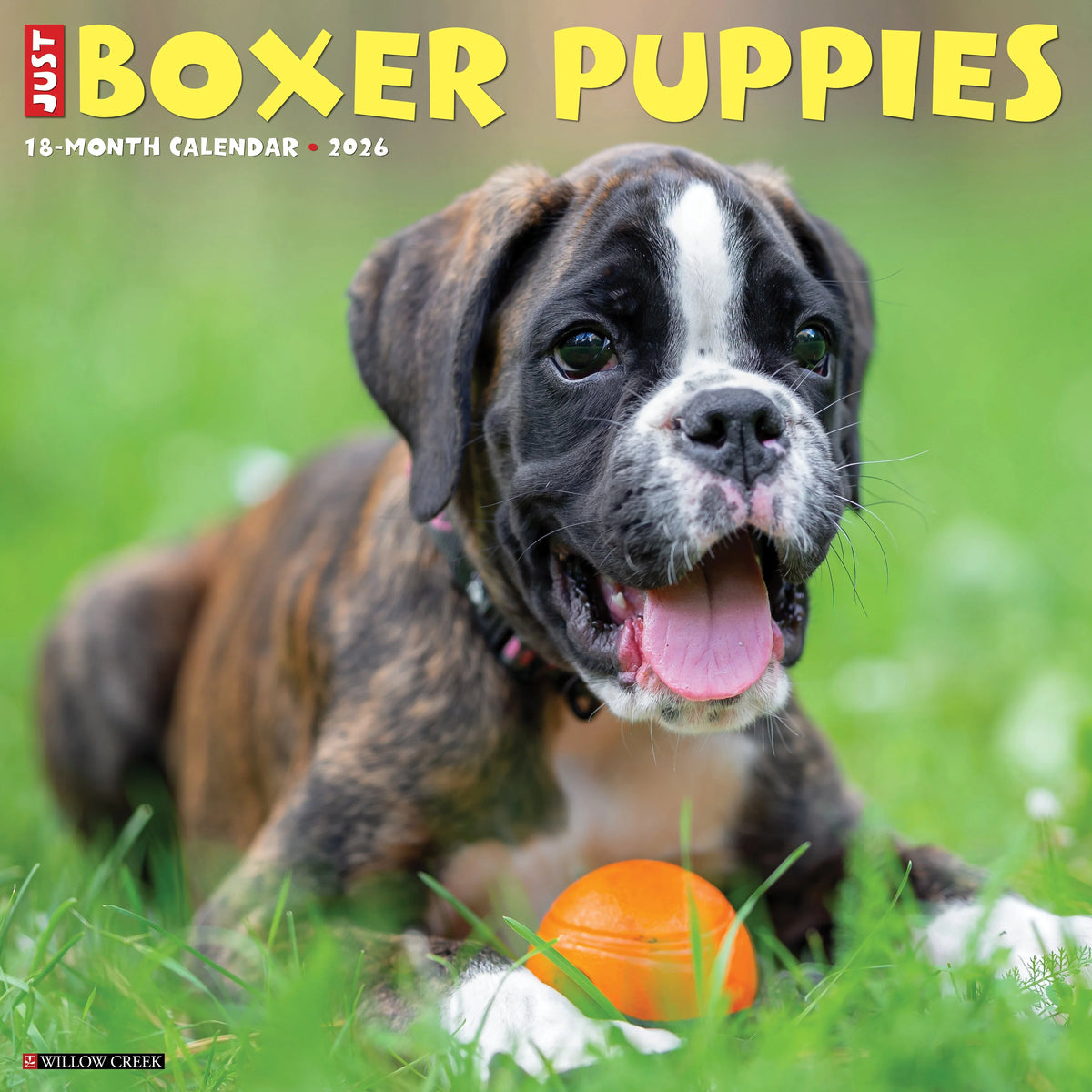 Willow Creek Press - 2026 Boxer Puppies Calendar