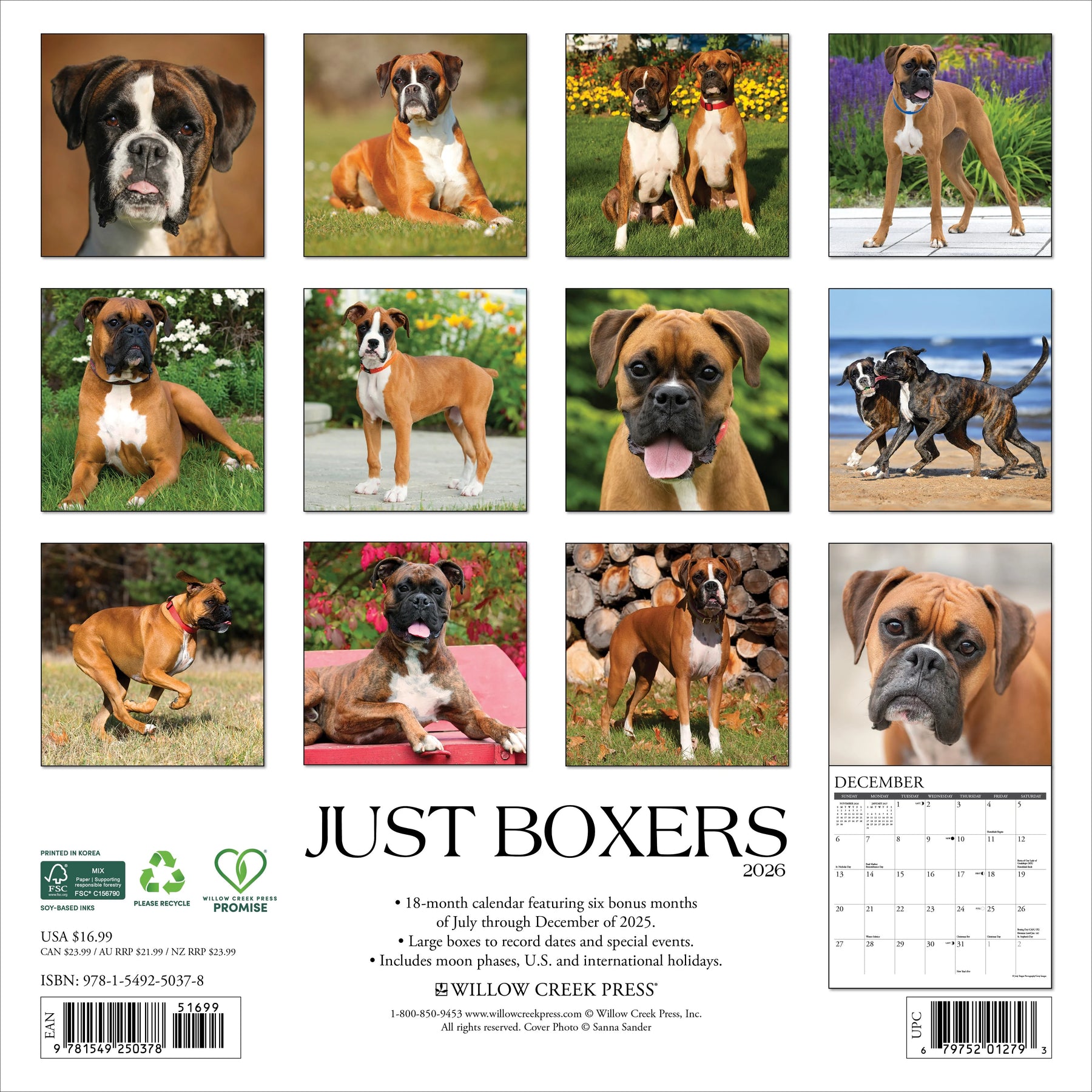 Willow Creek Press - 2026 Boxers Calendar