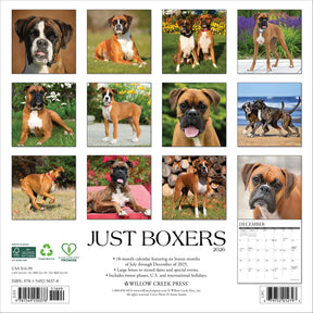 Willow Creek Press - 2026 Boxers Calendar