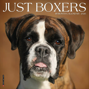 Willow Creek Press - 2026 Boxers Calendar