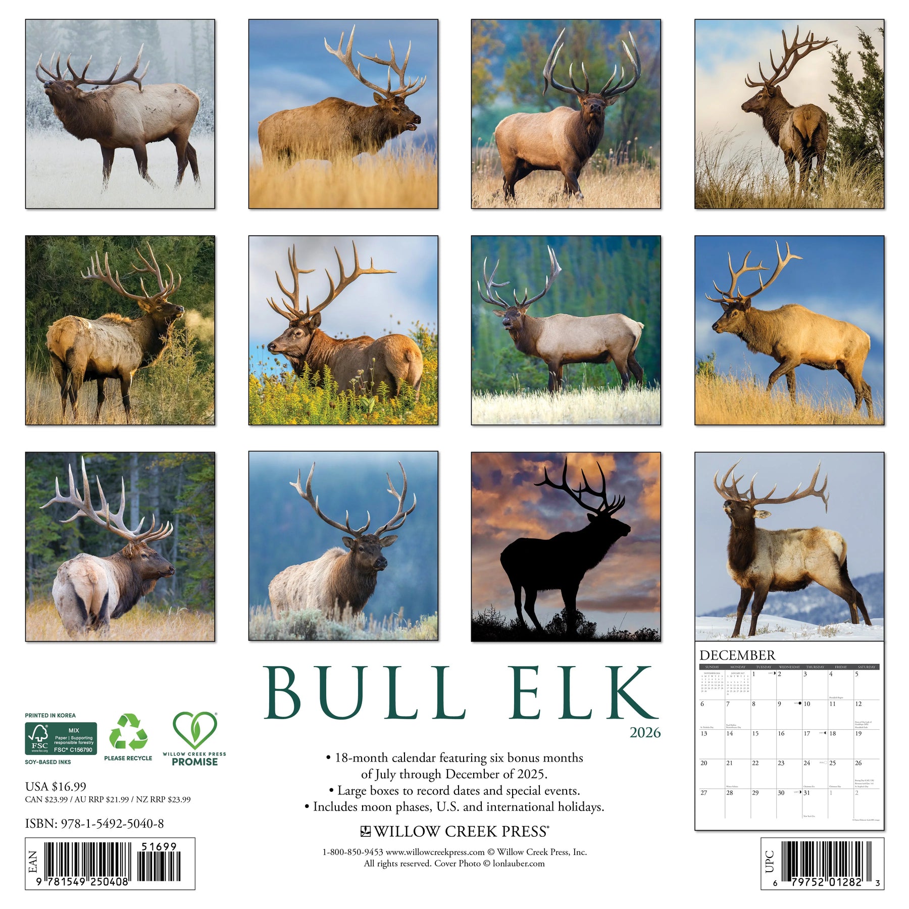 Willow Creek Press - 2026 Bull Elk Calendar