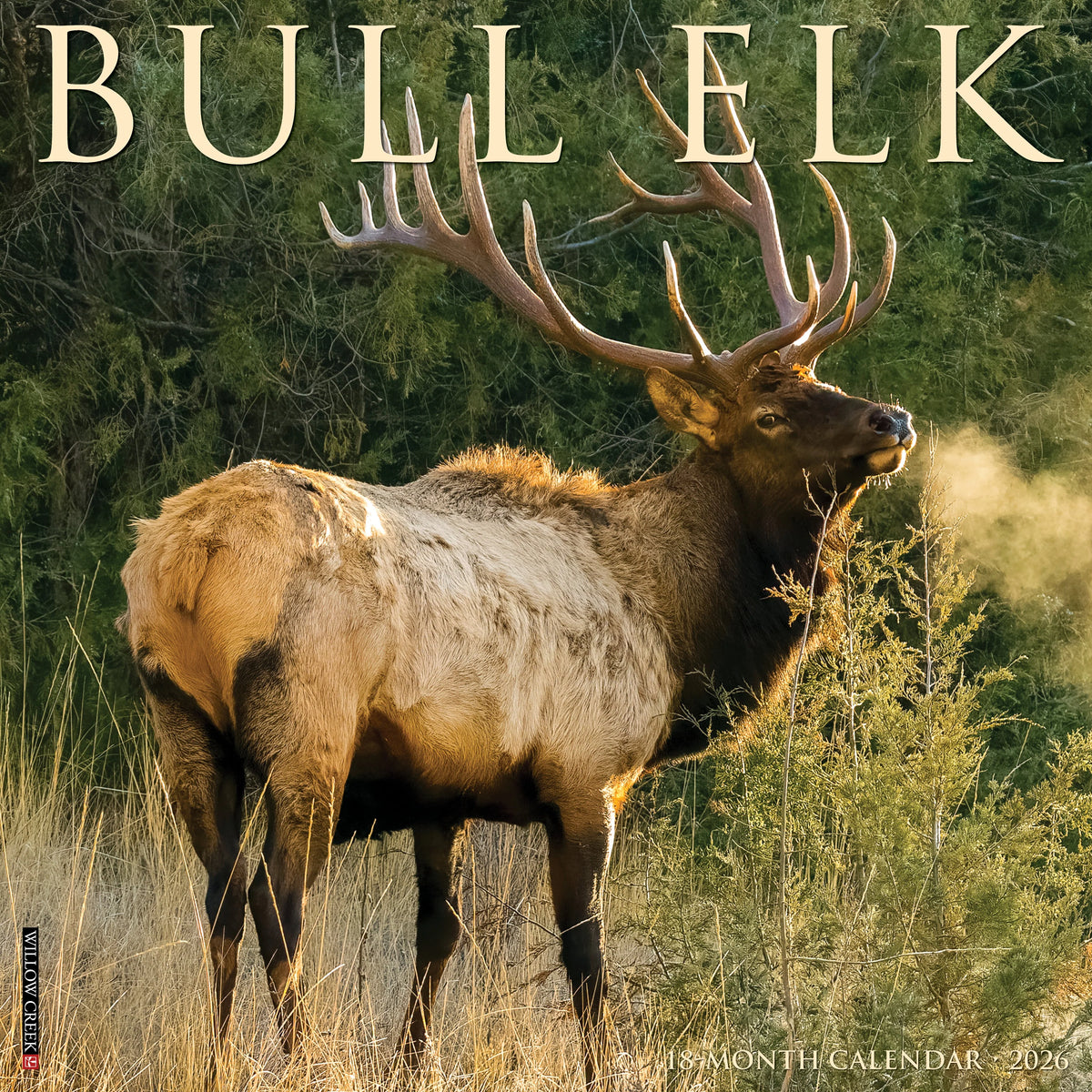 Willow Creek Press - 2026 Bull Elk Calendar