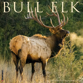 Willow Creek Press - 2026 Bull Elk Calendar