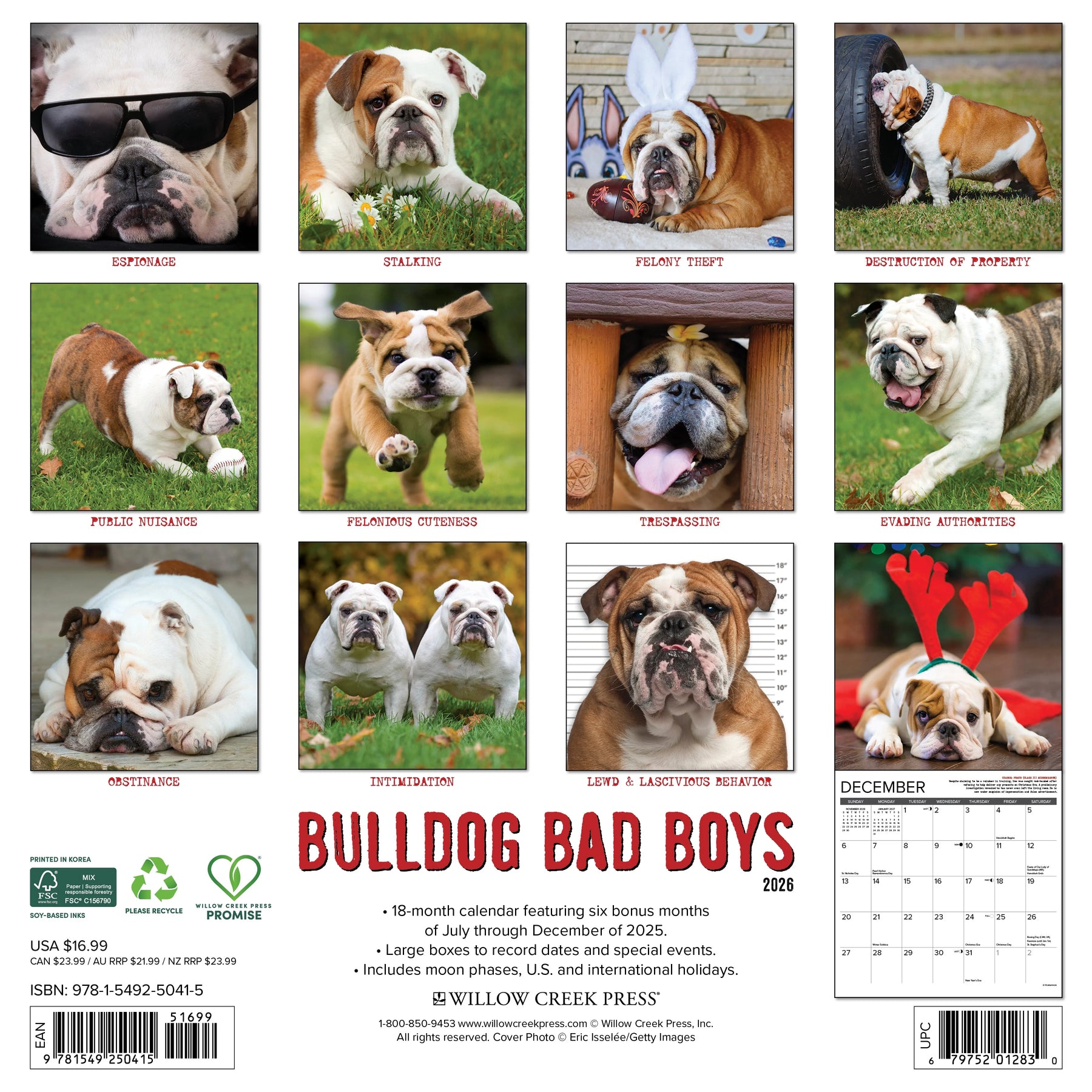 Willow Creek Press - 2026 Bulldog Bad Boys Calendar