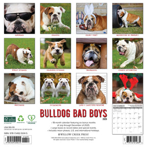 Willow Creek Press - 2026 Bulldog Bad Boys Calendar
