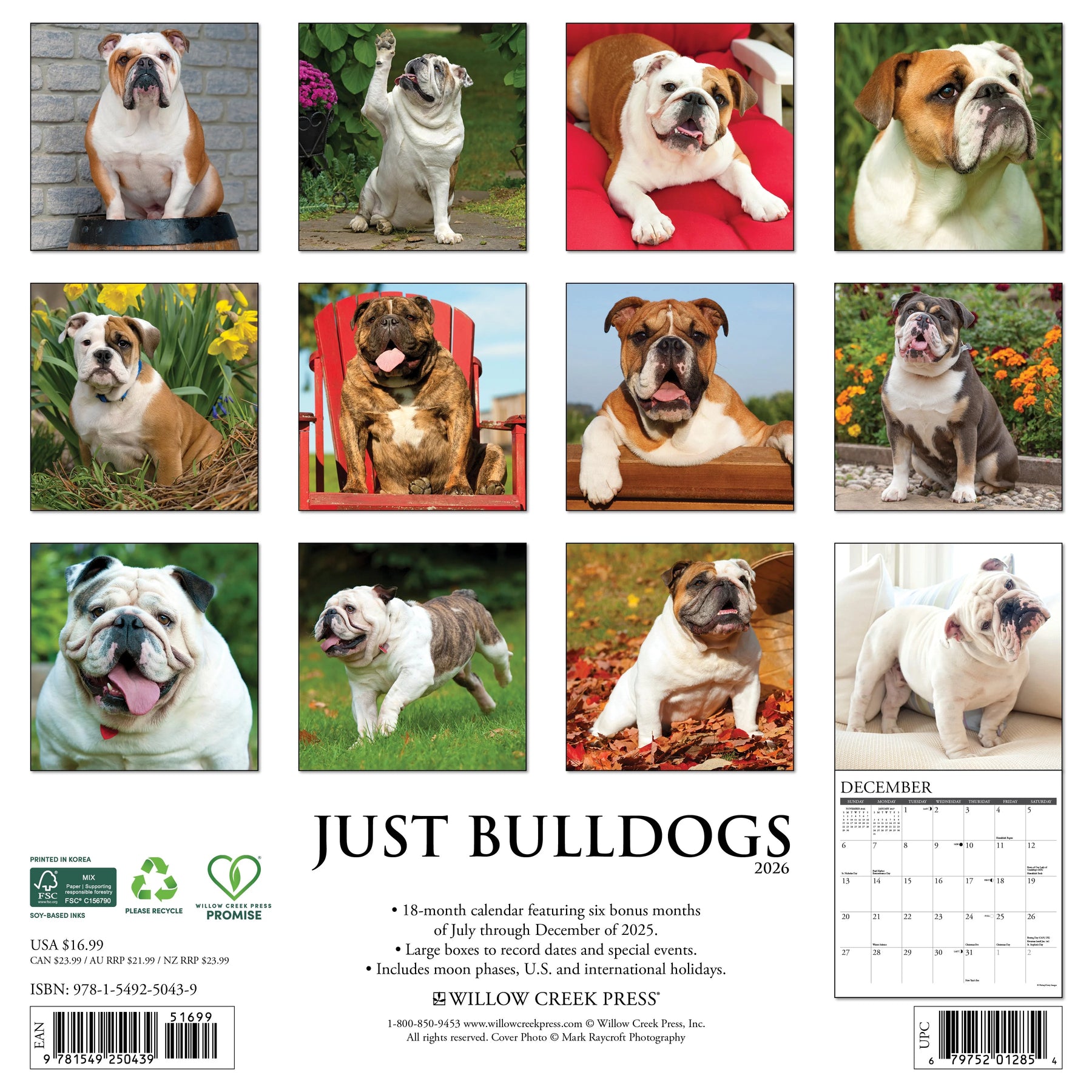 Willow Creek Press - 2026 Bulldogs Calendar