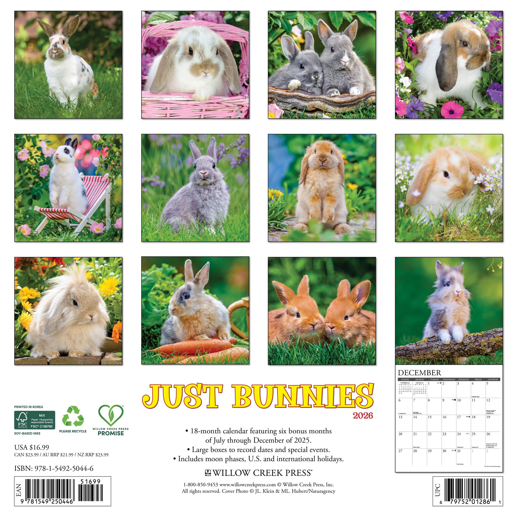 Willow Creek Press - 2026 Bunnies Calendar