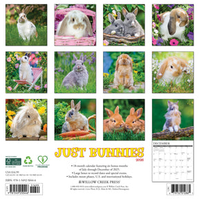 Willow Creek Press - 2026 Bunnies Calendar