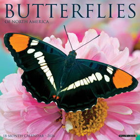 Willow Creek Press - 2026 Butterflies Of North America Calendar