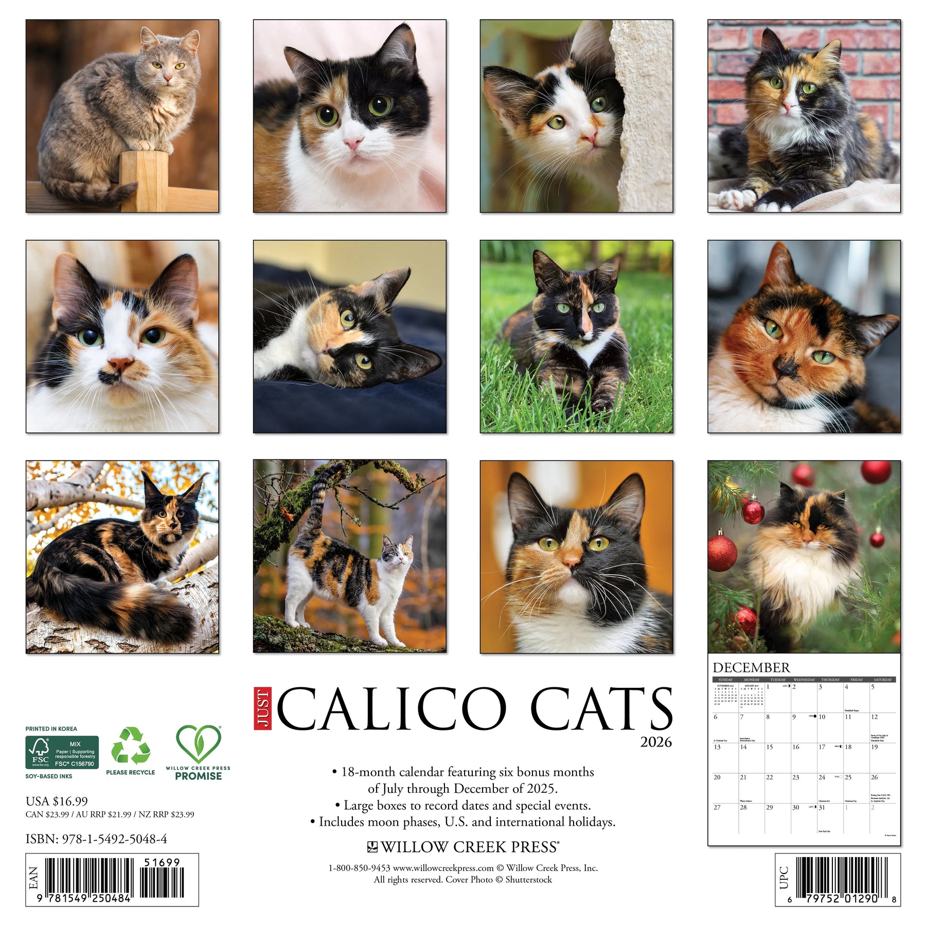 Willow Creek Press - 2026 Calico Cats Calendar