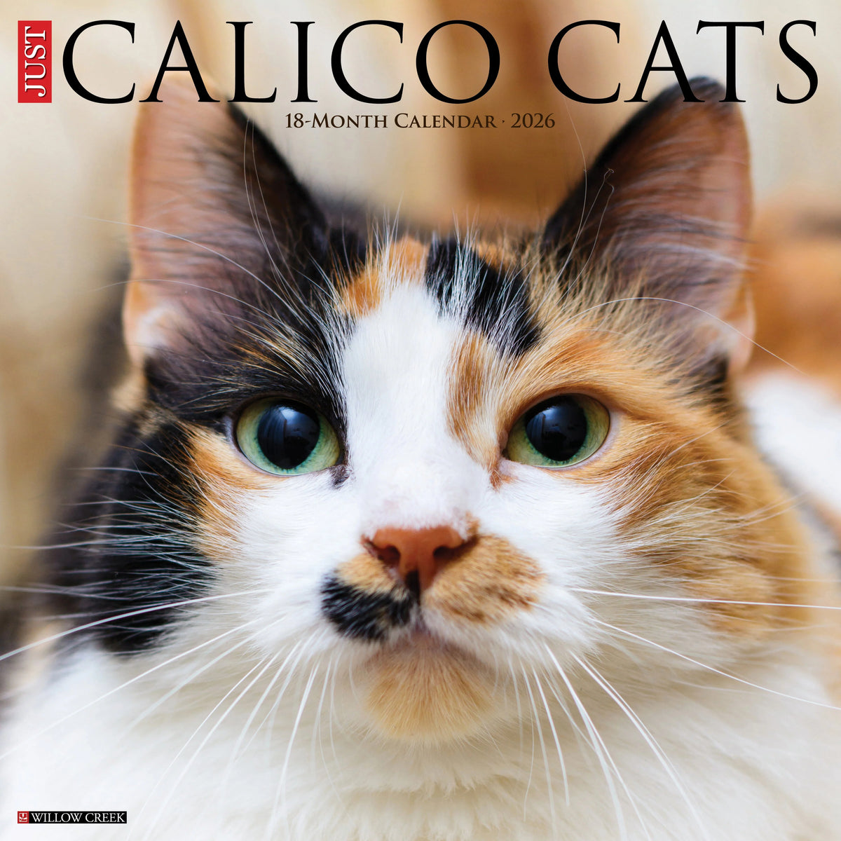 Willow Creek Press - 2026 Calico Cats Calendar