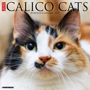 Willow Creek Press - 2026 Calico Cats Calendar