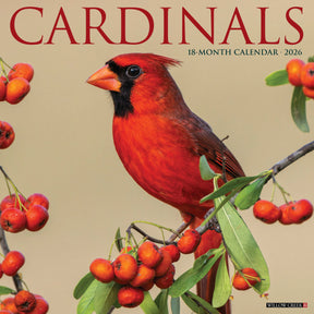 Willow Creek Press - 2026 Cardinals Calendar