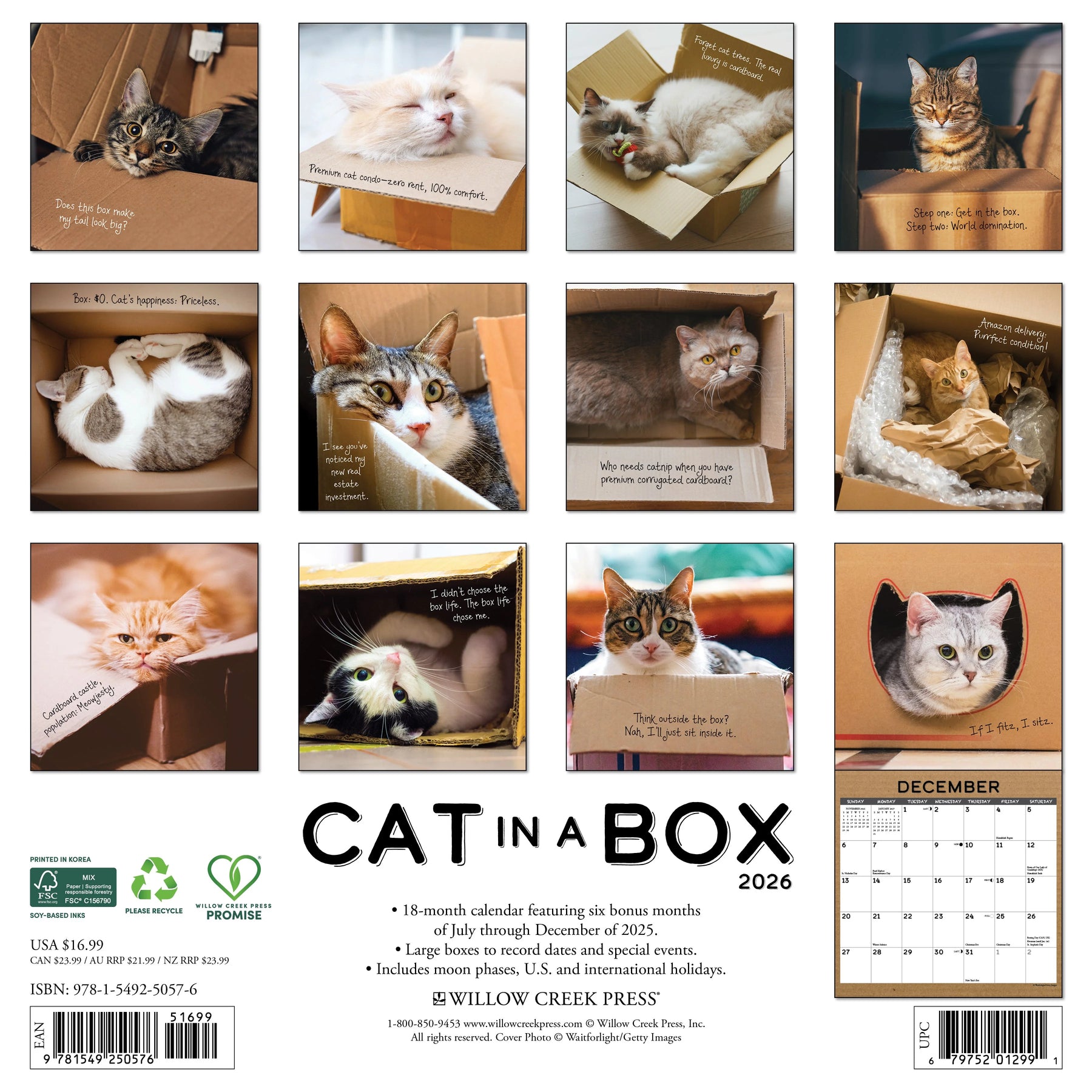 Willow Creek Press - 2026 Cat In A Box Calendar
