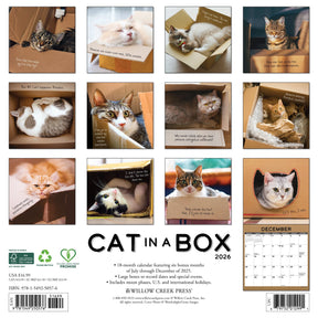Willow Creek Press - 2026 Cat In A Box Calendar