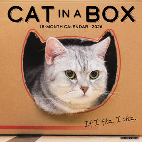 Willow Creek Press - 2026 Cat In A Box Calendar