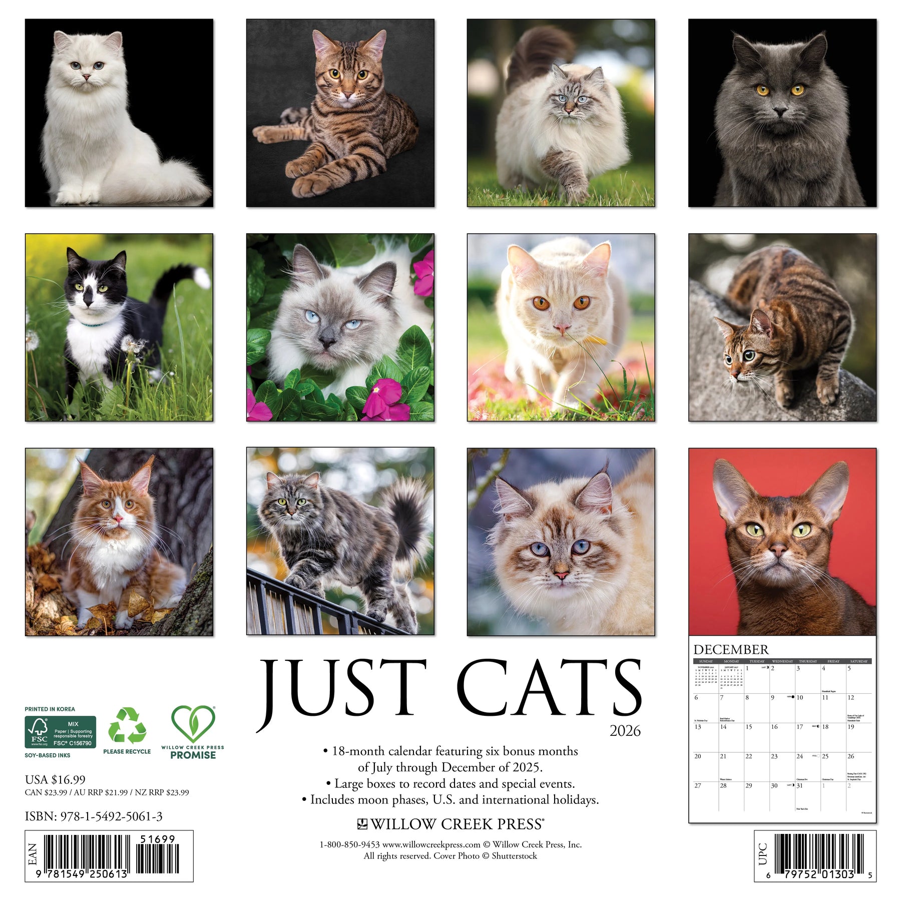 Willow Creek Press - 2026 Cats Calendar