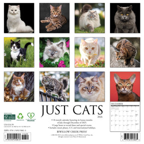 Willow Creek Press - 2026 Cats Calendar