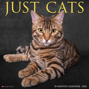 Willow Creek Press - 2026 Cats Calendar
