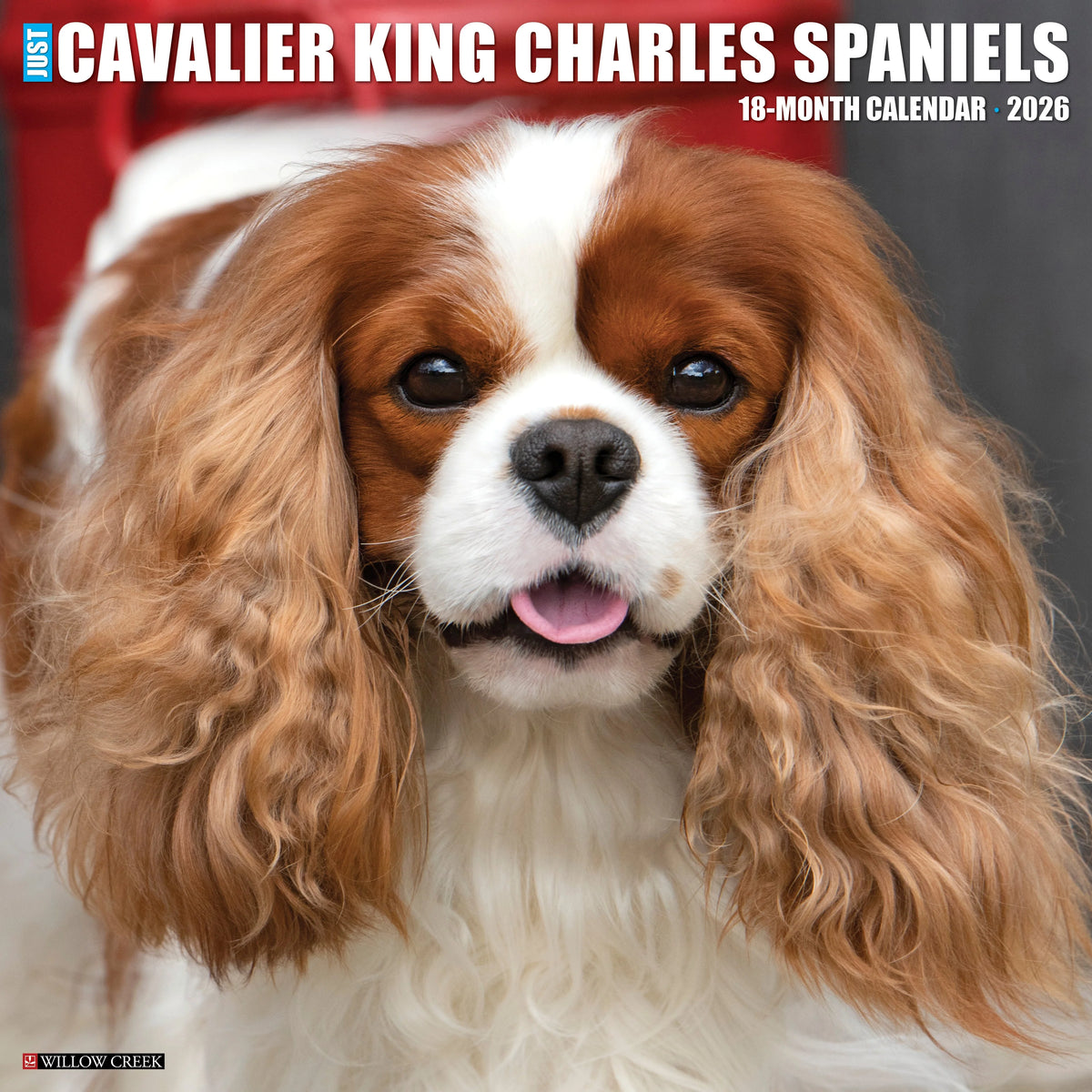 Willow Creek Press - 2026 Cavalier King Charles Spaniels Calendar