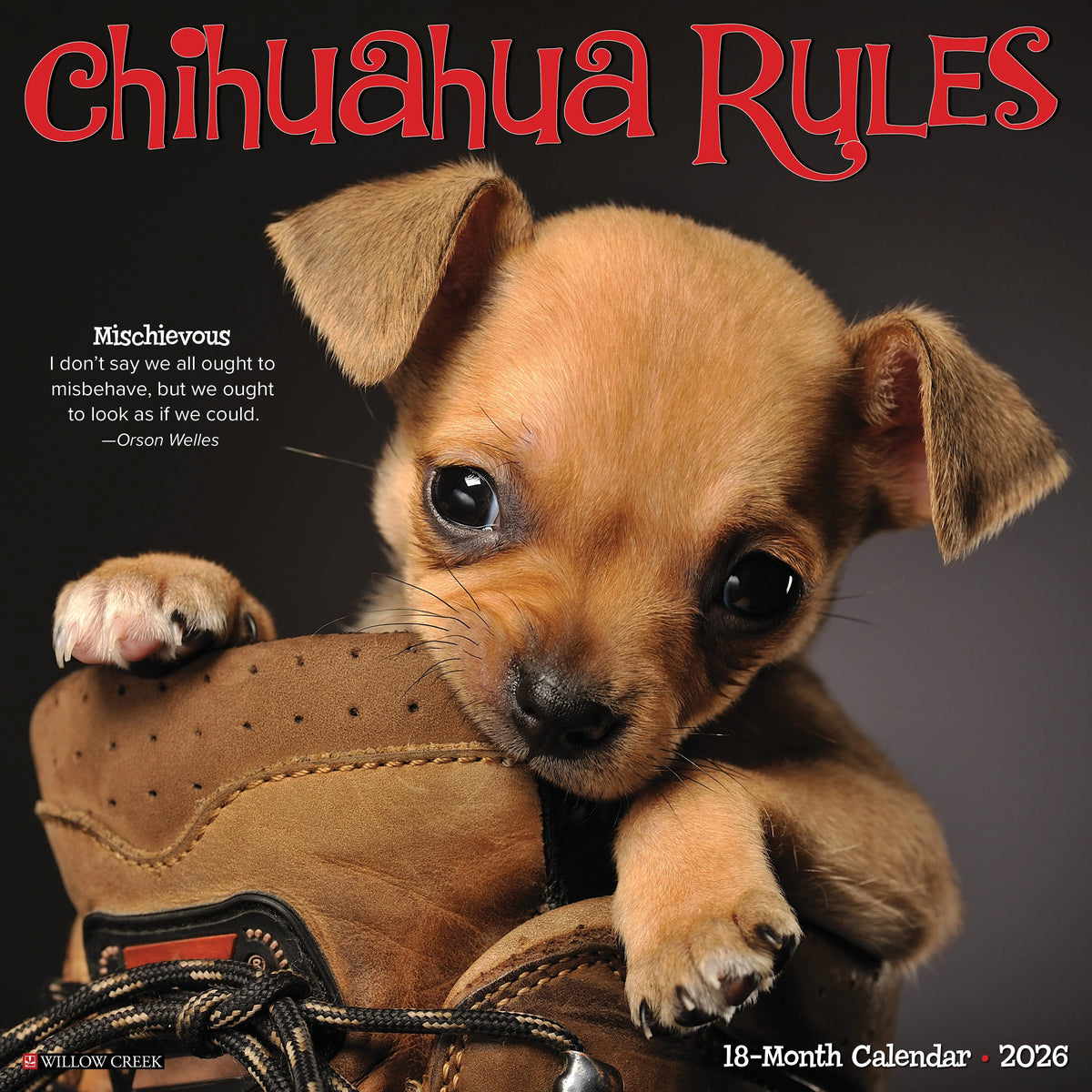 Willow Creek Press - 2026 Chihuahua Rules Calendars