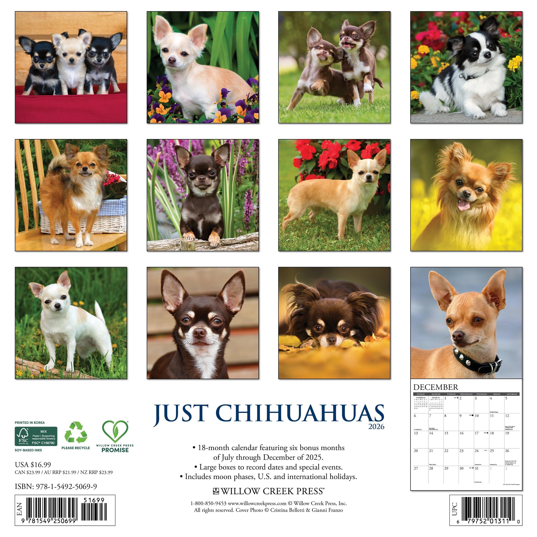 Willow Creek Press - 2026 Chihuahuas Calendars