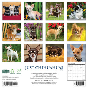 Willow Creek Press - 2026 Chihuahuas Calendars