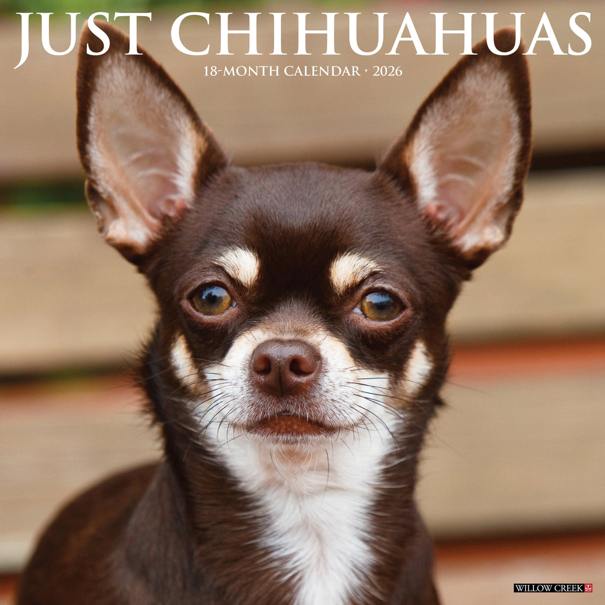 Willow Creek Press - 2026 Chihuahuas Calendars