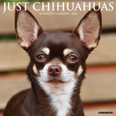 Willow Creek Press - 2026 Chihuahuas Calendars