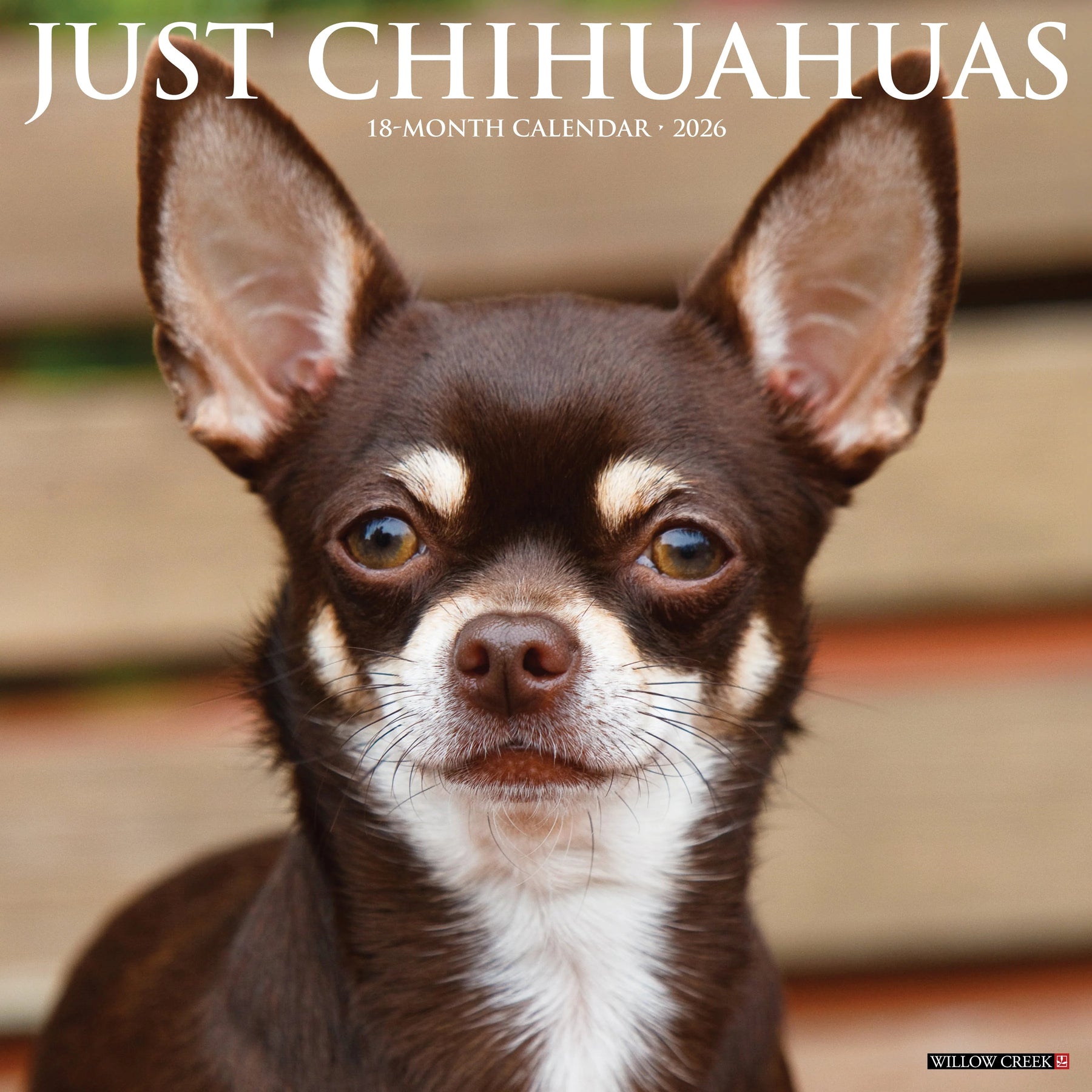 Willow Creek Press - 2026 Chihuahuas Calendars