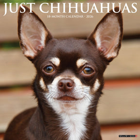 Willow Creek Press - 2026 Chihuahuas Calendars