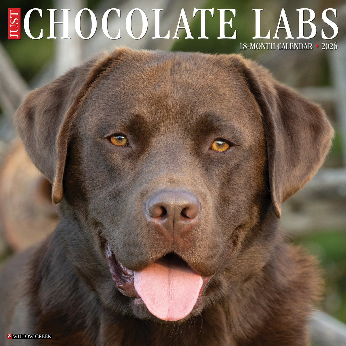Willow Creek Press - 2026 Chocolate Labs Calendars