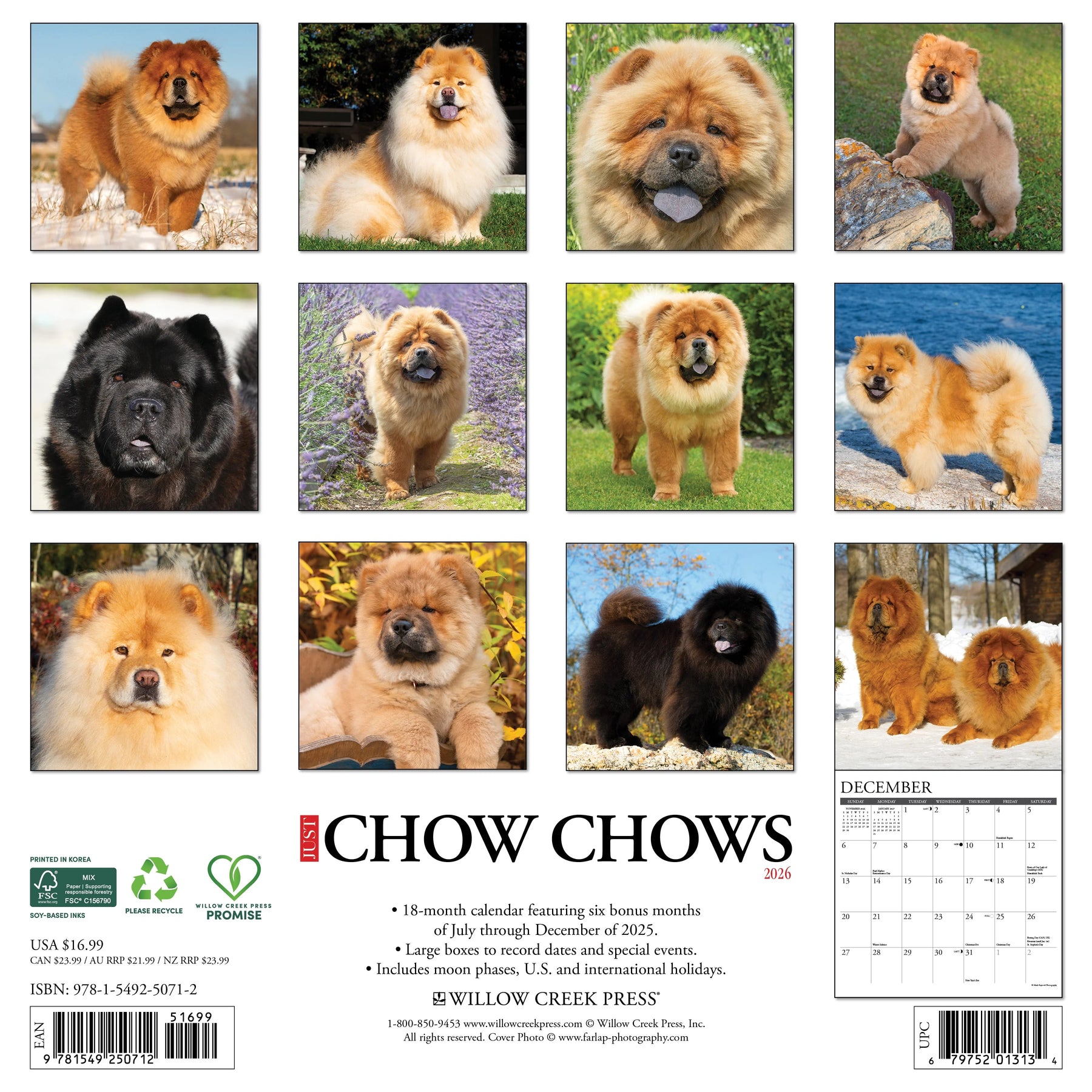 Willow Creek Press - 2026 Chows Calendars