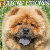Willow Creek Press - 2026 Chows Calendars