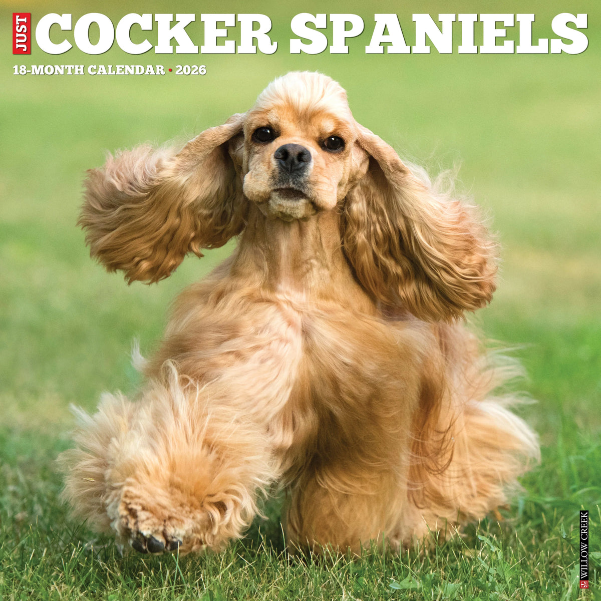 Willow Creek Press - 2026 Cocker Spaniels Calendar