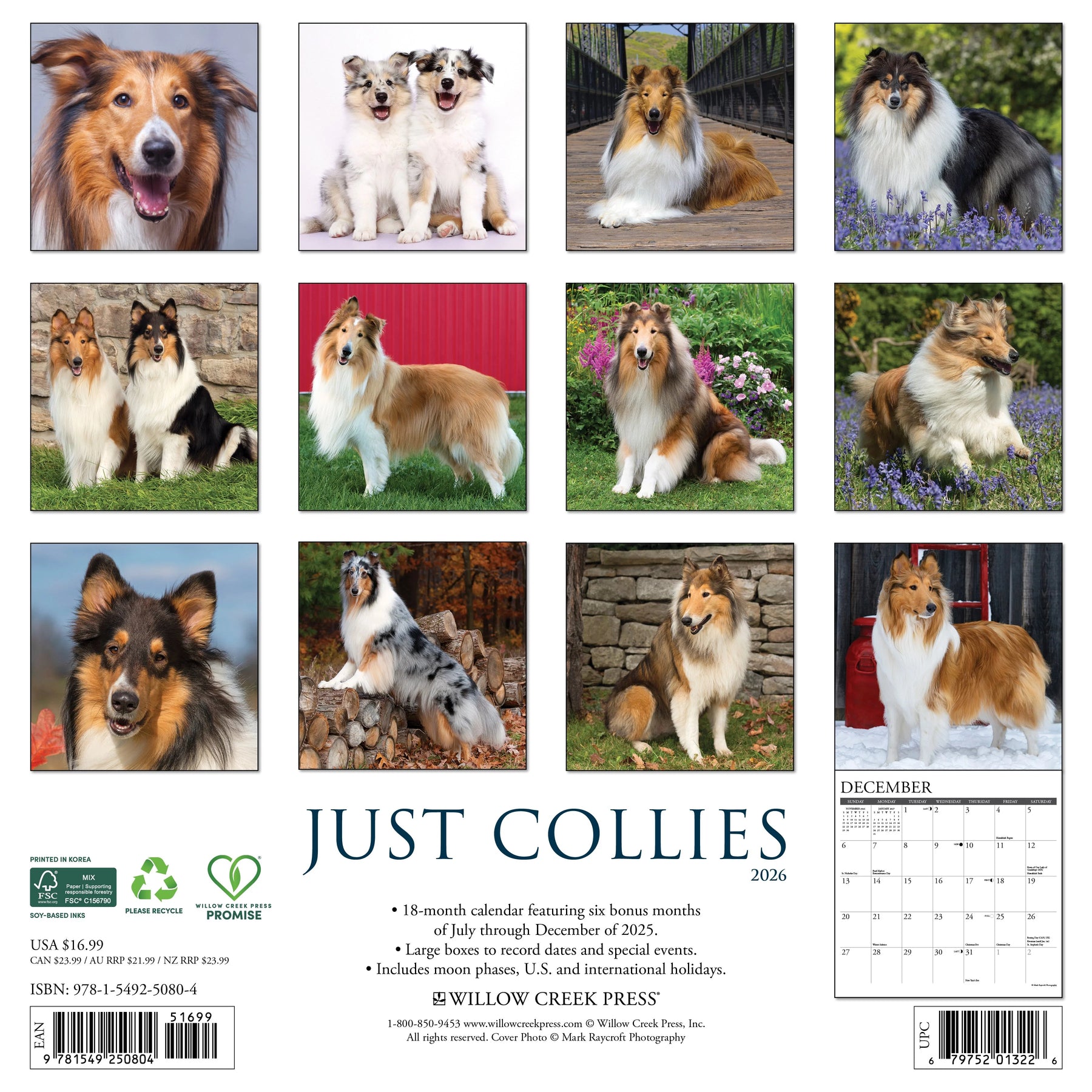 Willow Creek Press - 2026 Collies Calendar