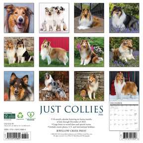 Willow Creek Press - 2026 Collies Calendar