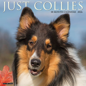 Willow Creek Press - 2026 Collies Calendar