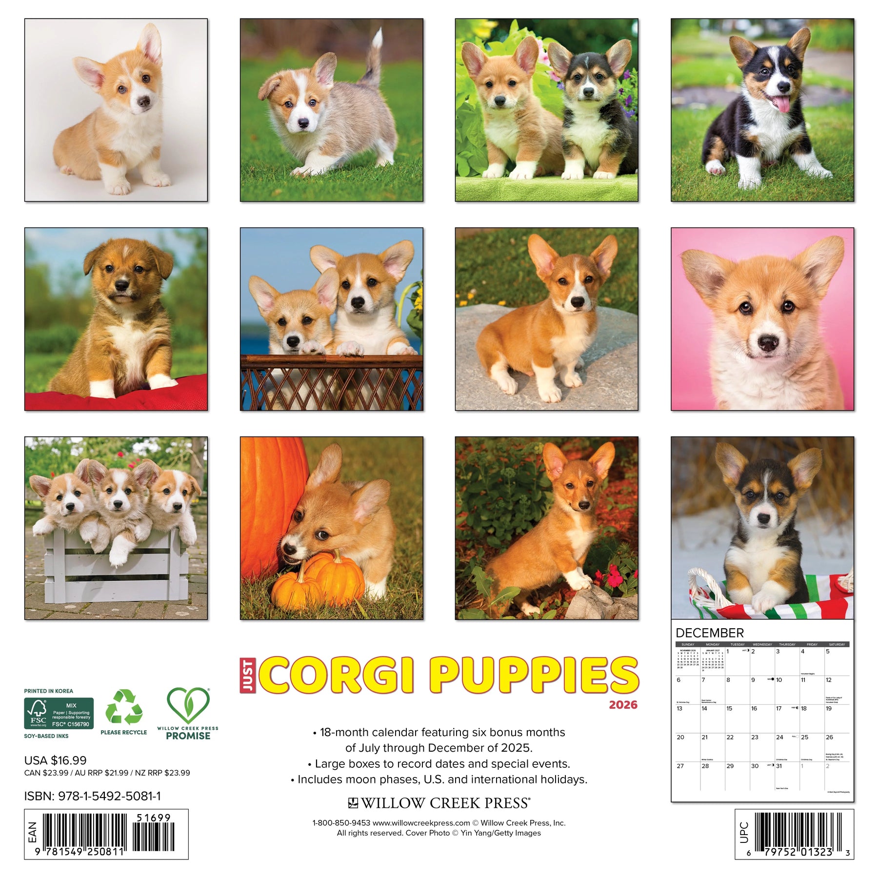 Willow Creek Press - 2026 Corgi Puppies Calendar