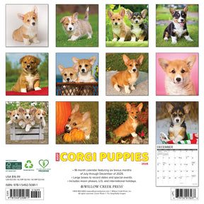Willow Creek Press - 2026 Corgi Puppies Calendar