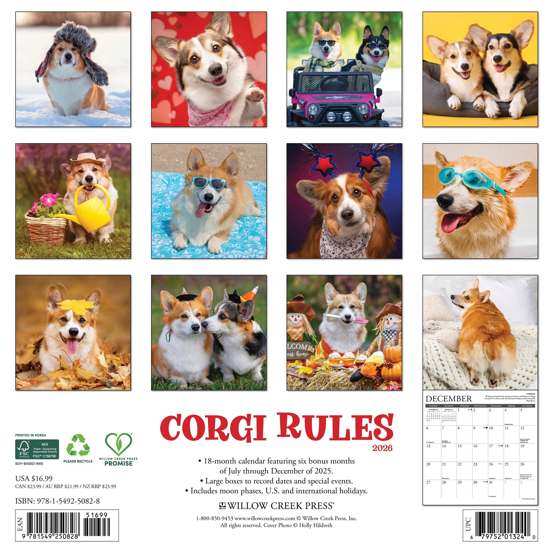 Willow Creek Press - 2026 Corgi Rules Calendar