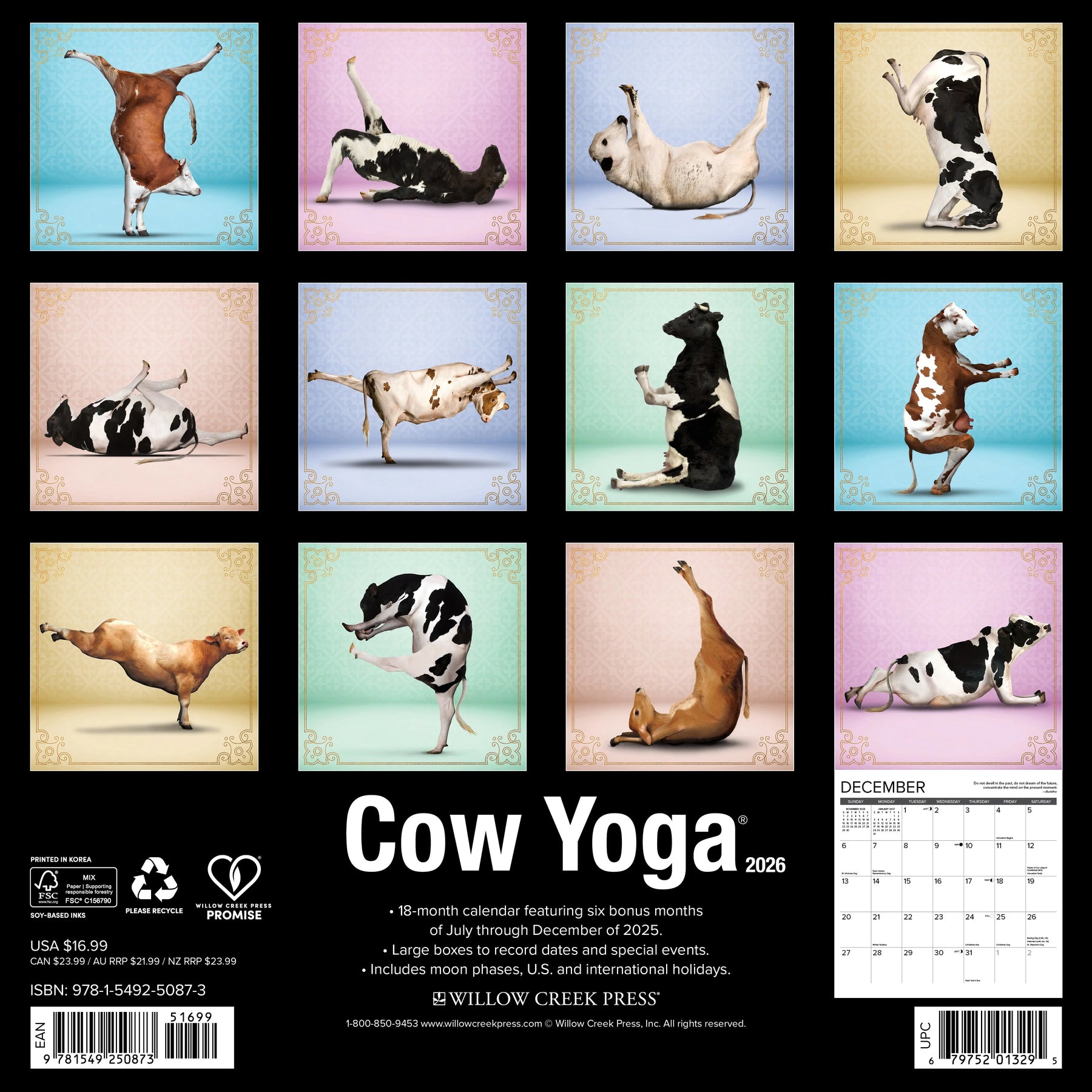 Willow Creek Press - 2026 Cow Yoga Calendar