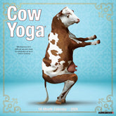 Willow Creek Press - 2026 Cow Yoga Calendar