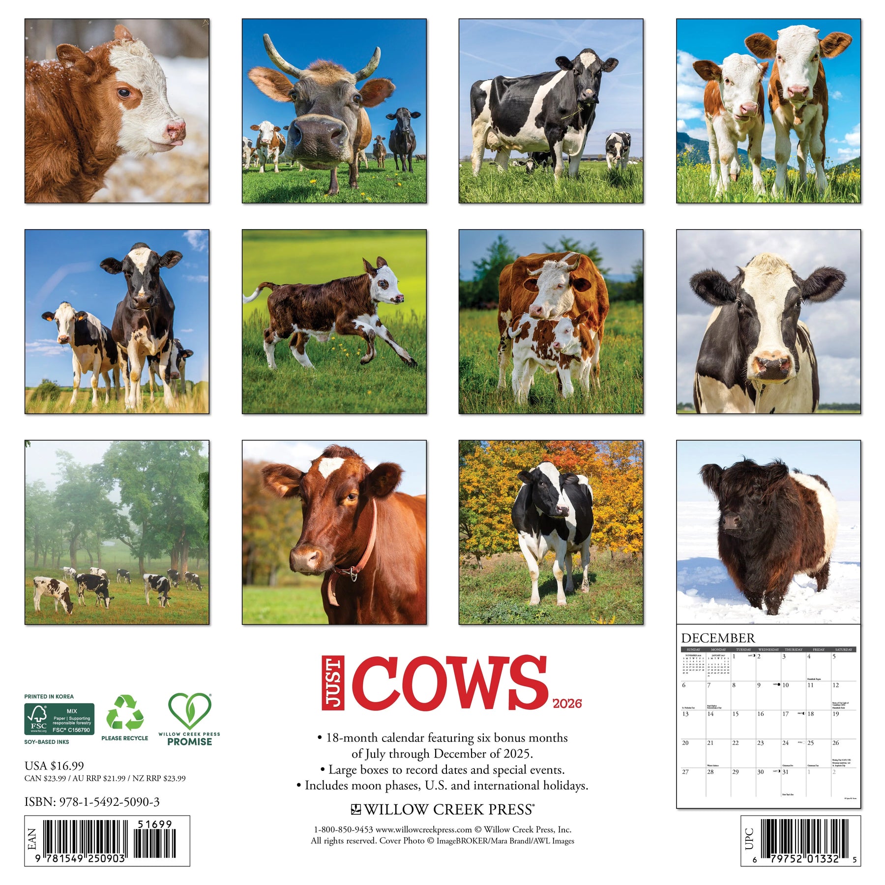 Willow Creek Press - 2026 Cows Calendar