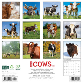 Willow Creek Press - 2026 Cows Calendar